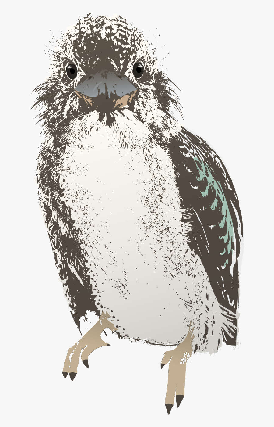Screech Owl, Transparent Clipart