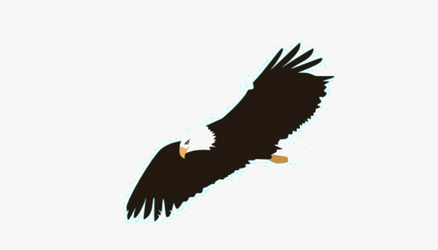 Eagle Clipart Images Transparent Png - Transparent Background Bald Eagle Clipart, Transparent Clipart