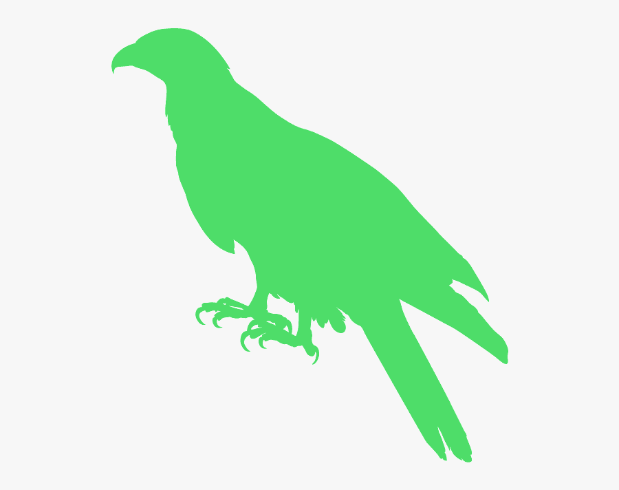 Silueta De Un Gavilan, Transparent Clipart
