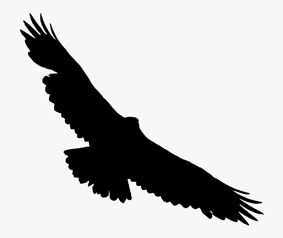Bald Eagle Hawk Vulture Buzzard - Golden Eagle, Transparent Clipart