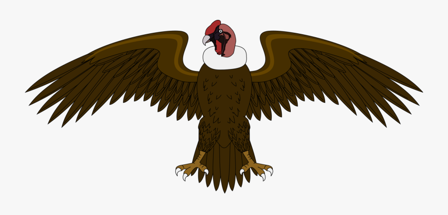 Eagle,bald Eagle,vulture - El Condor Del Escudo De Colombia, Transparent Clipart