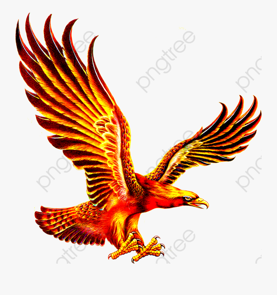 Transparent Eagle Clipart Png - Logo Gold Eagle Png, Transparent Clipart