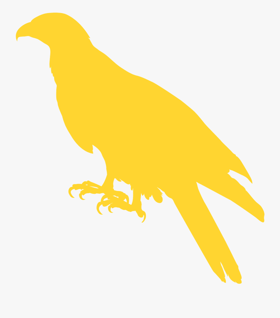 Parrot, Transparent Clipart