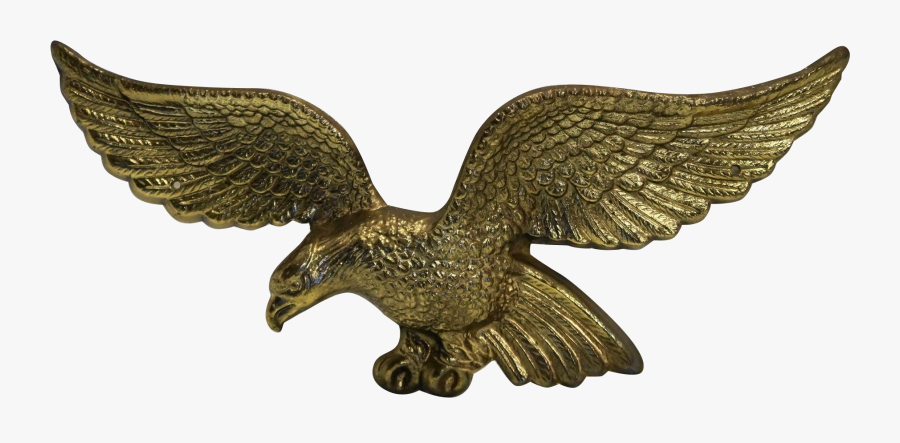 Top Images For American Brass Eagle Plaque On Picsunday - Red-tailed Hawk, Transparent Clipart