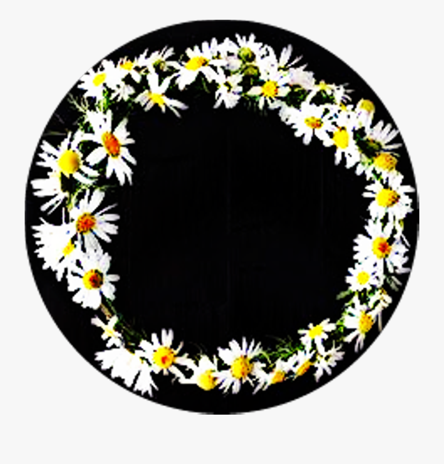 Corona De Margaritas Frases Todaypic Clipart , Png - House Of Gold, Transparent Clipart