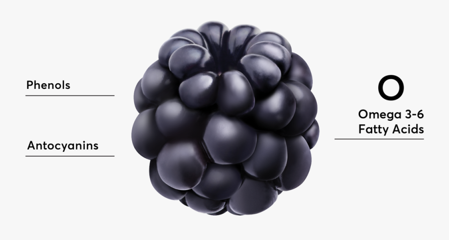 Seedless Fruit, Transparent Clipart