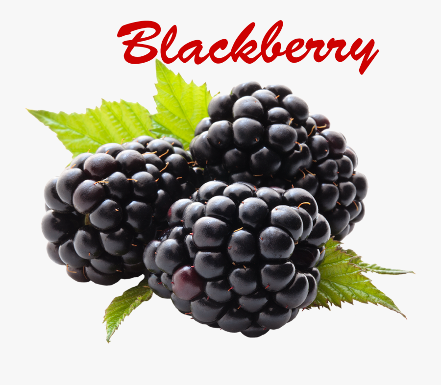 Blackberry Png Picture - Health Benefits For Blackberry, Transparent Clipart