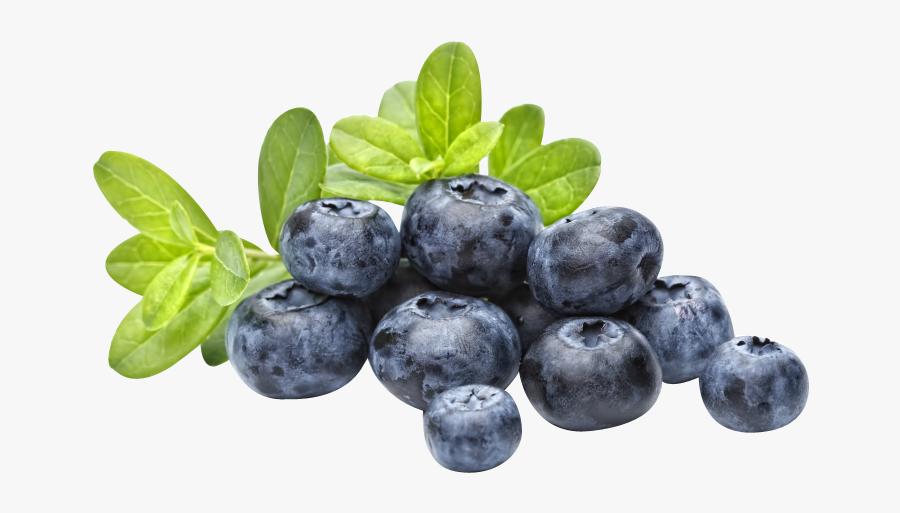 Blueberries Png, Transparent Clipart