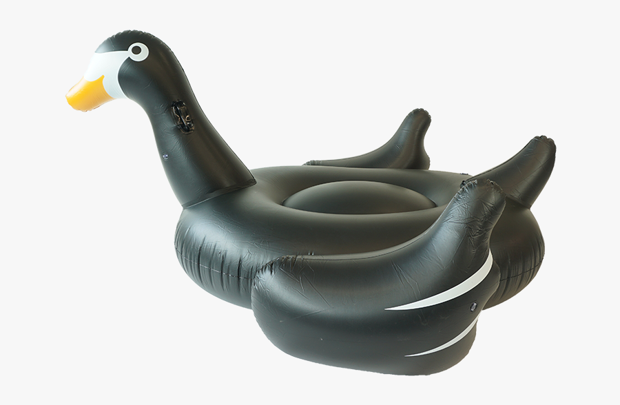 Sunfloats Inflatable Black Swan Pool Floats - Inflatable, Transparent Clipart