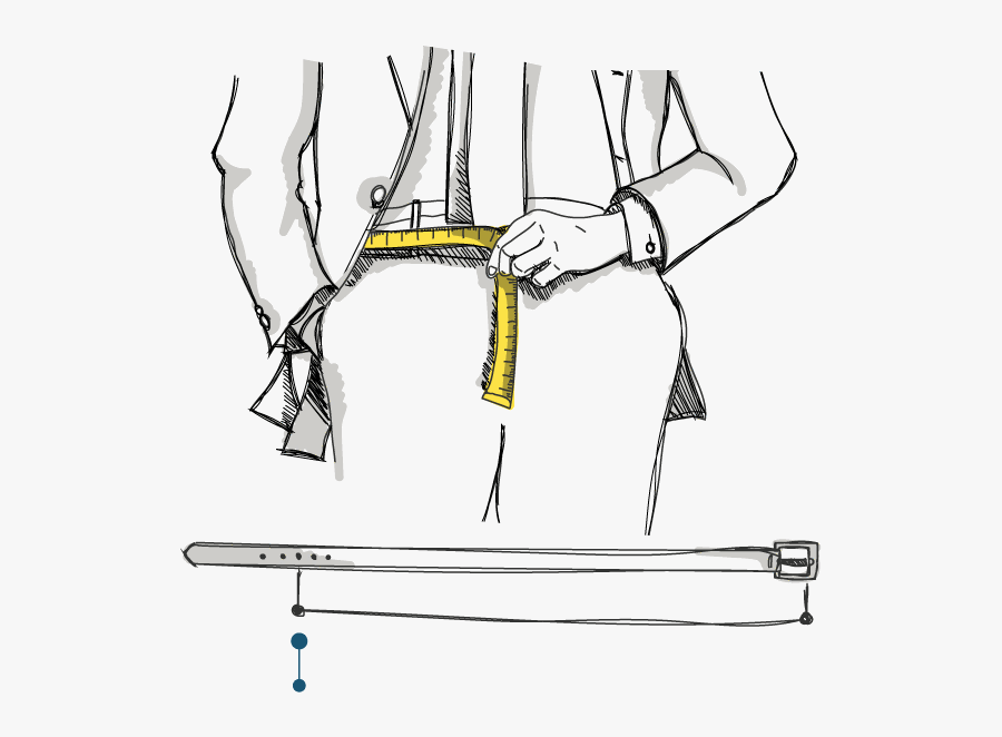 The Measurement Of Your Waist Corresponds To The Length - Cartoon, Transparent Clipart