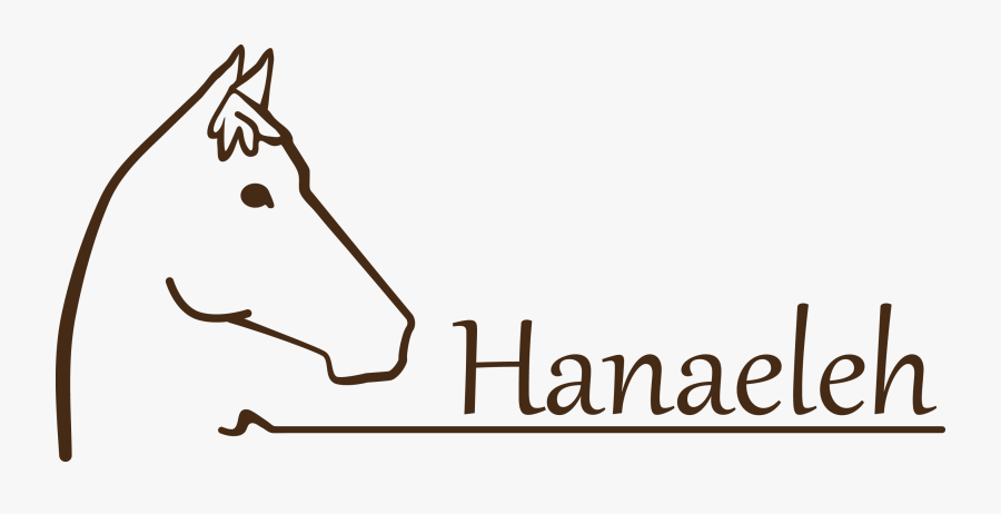 Horse Whip High Definition Png, Transparent Clipart