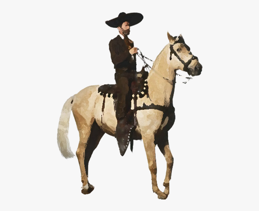 Mare, Transparent Clipart