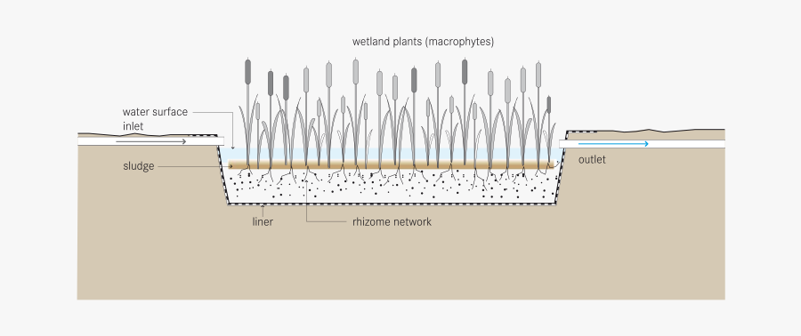 Free Water Surface System, Transparent Clipart