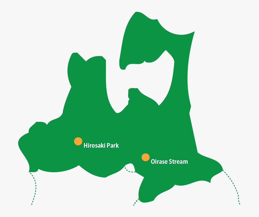 Aomori Apple, Transparent Clipart