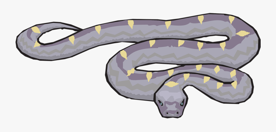 Transparent Snake Clipart - Draw A Slithering Snake, Transparent Clipart