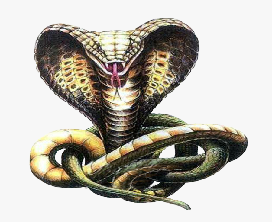 Transparent Python Clipart - Cobra Snake 3d Drawing, Transparent Clipart