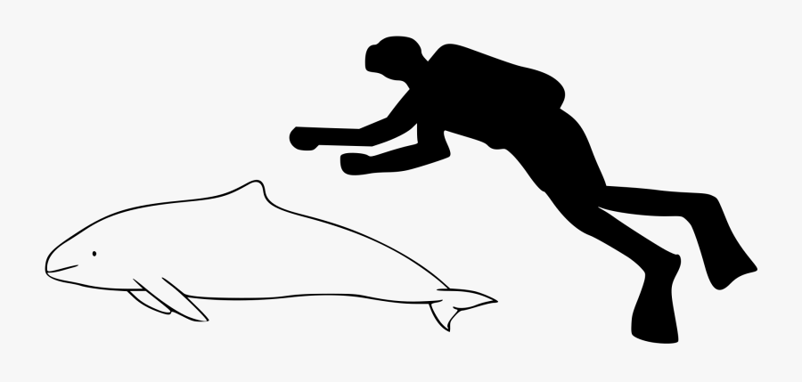 Svg Transparent Harbor Drawing Harbour - Short Finned Pilot Whale Drawing, Transparent Clipart