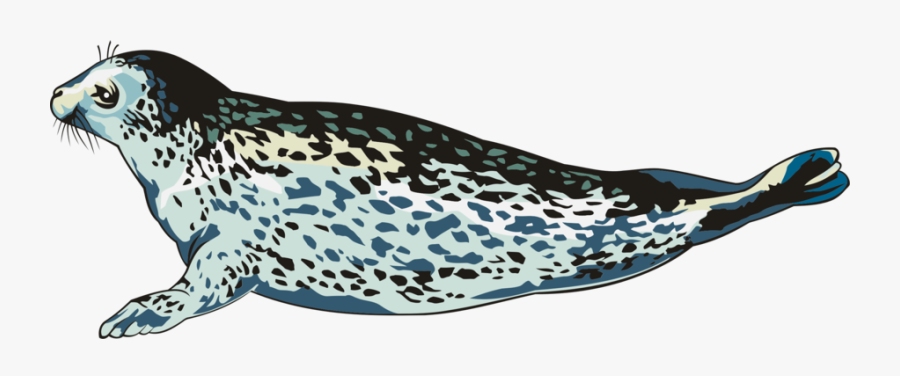 Animales Dibujos De Hielo, Transparent Clipart