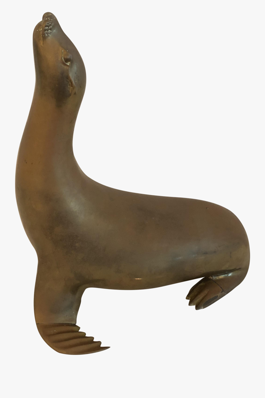 Harborseal Png Clipart - California Sea Lion, Transparent Clipart