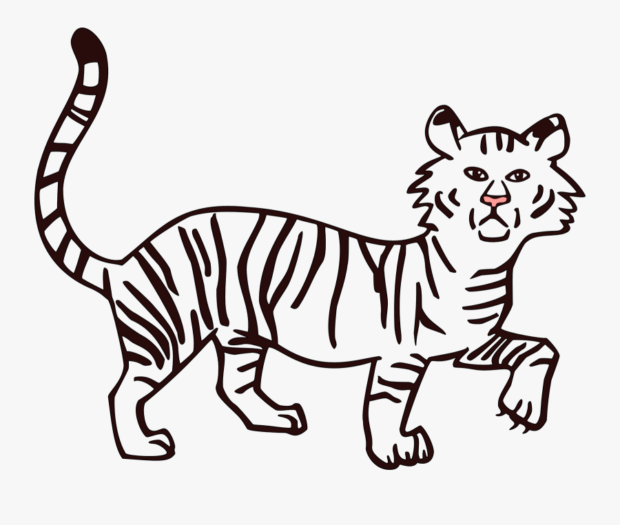 Drawn White Tiger Transparent - Drawn Picture To Fill In Color, Transparent Clipart