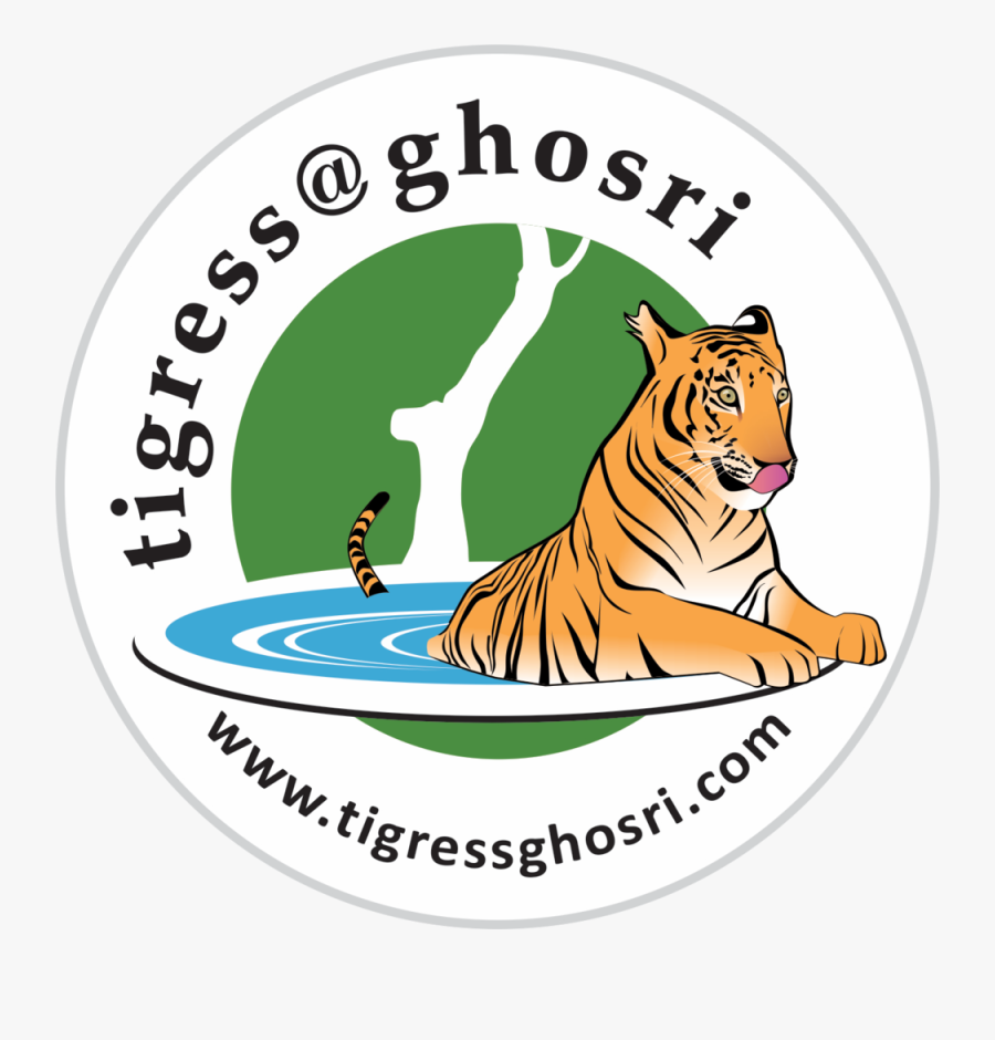 Tiger Cub Clipart, Transparent Clipart