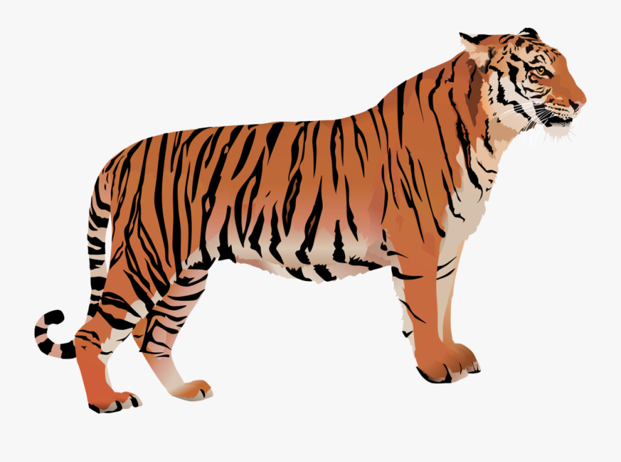 Clip Art Bengal Tiger Cartoon - Bengal Tiger Vector Png, Transparent Clipart