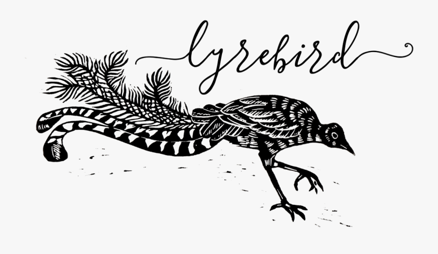 Lyrebird Clipart, Transparent Clipart