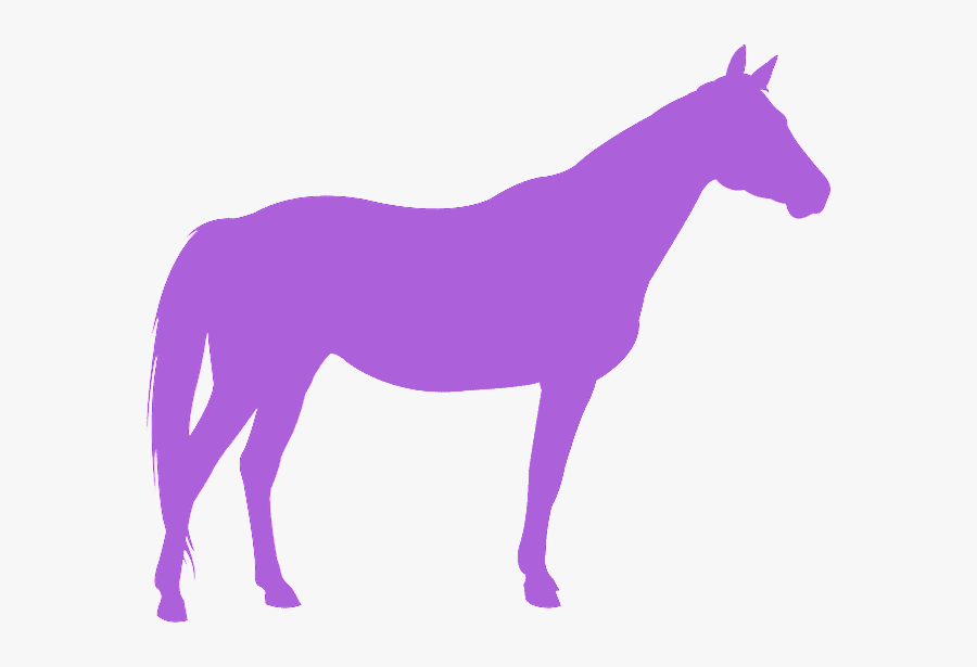 Beste Paard Van Stal, Transparent Clipart