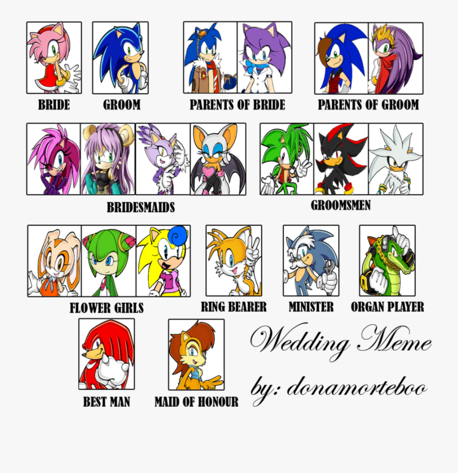 Sonic X Amy Rose - Sonic X Amy Memes, Transparent Clipart