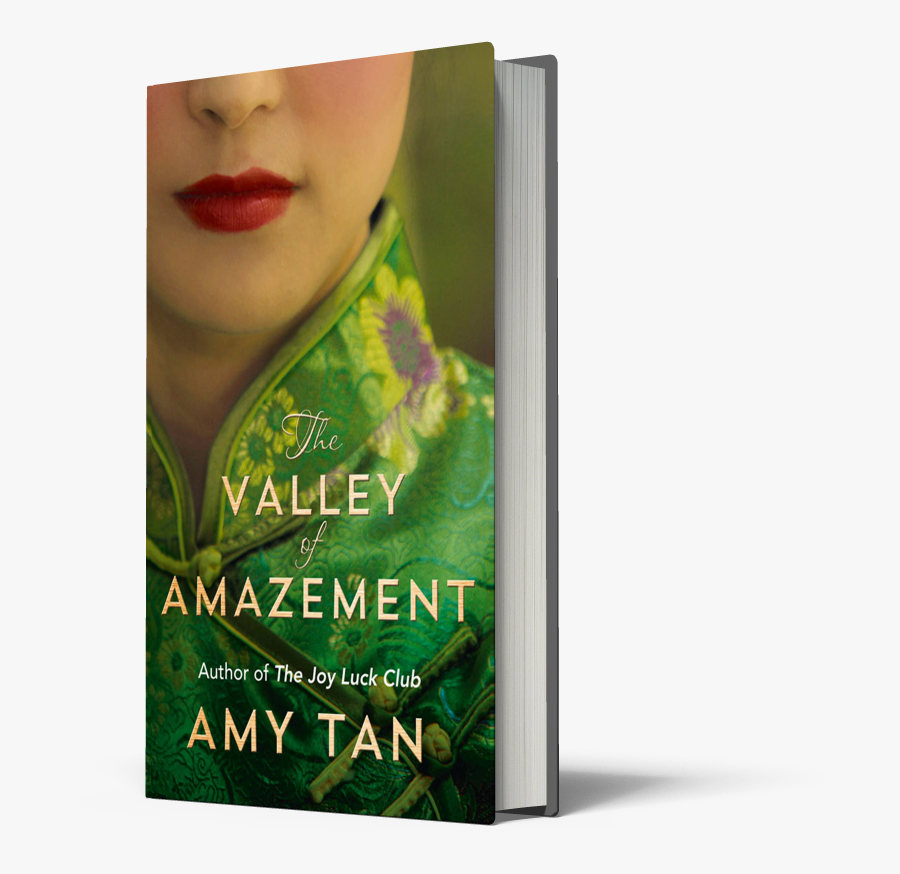 Fireworks At Her Earlobes Silver Earrings From Amrapali - Amy Tan The Valley Of Amazement, Transparent Clipart