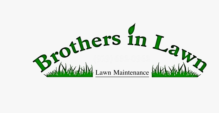 Grass, Transparent Clipart