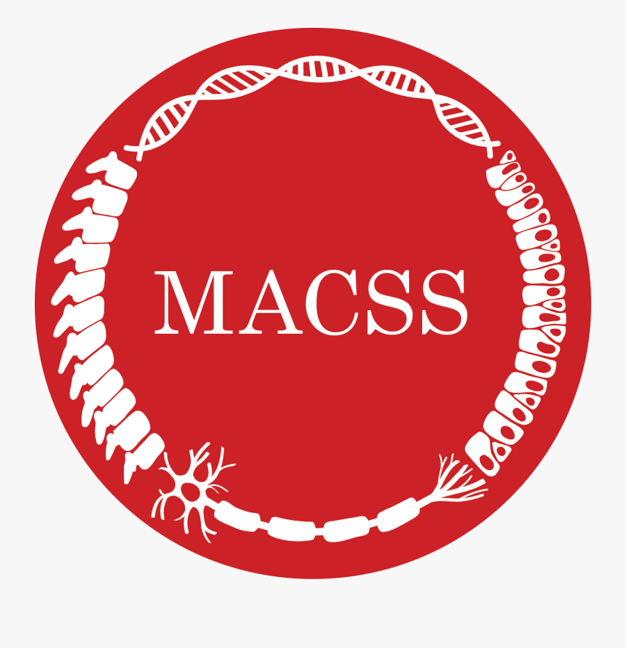 Mcgill Anatomy Macss Mcgill, Transparent Clipart