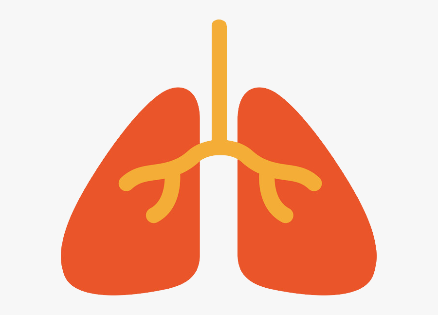 Orange Lungs Png, Transparent Clipart