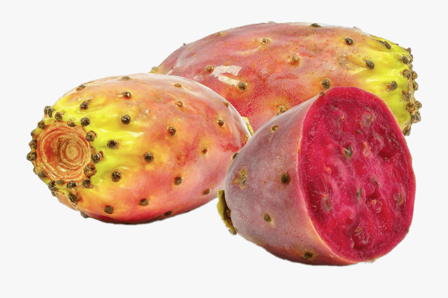 Prickly Pear Cactus Fruit - Prickly Pear, Transparent Clipart