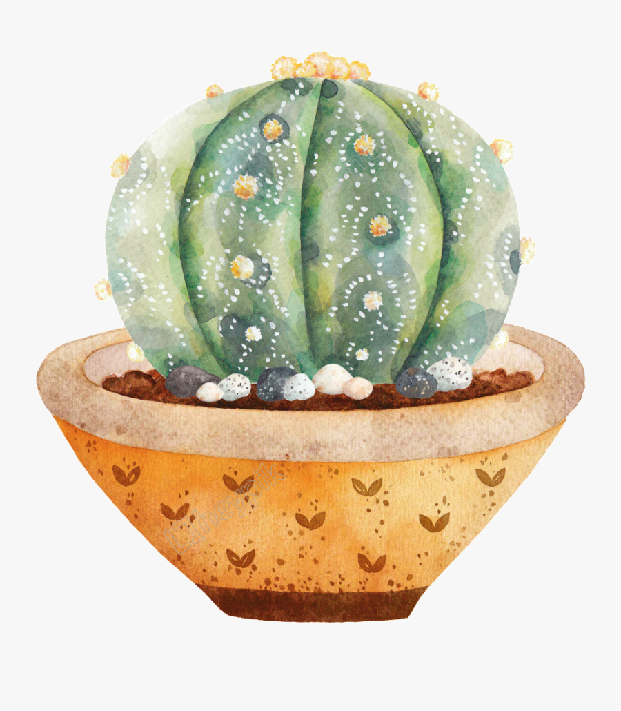 Prickly Pear Png - Transparent Background Cactus Clipart, Transparent Clipart