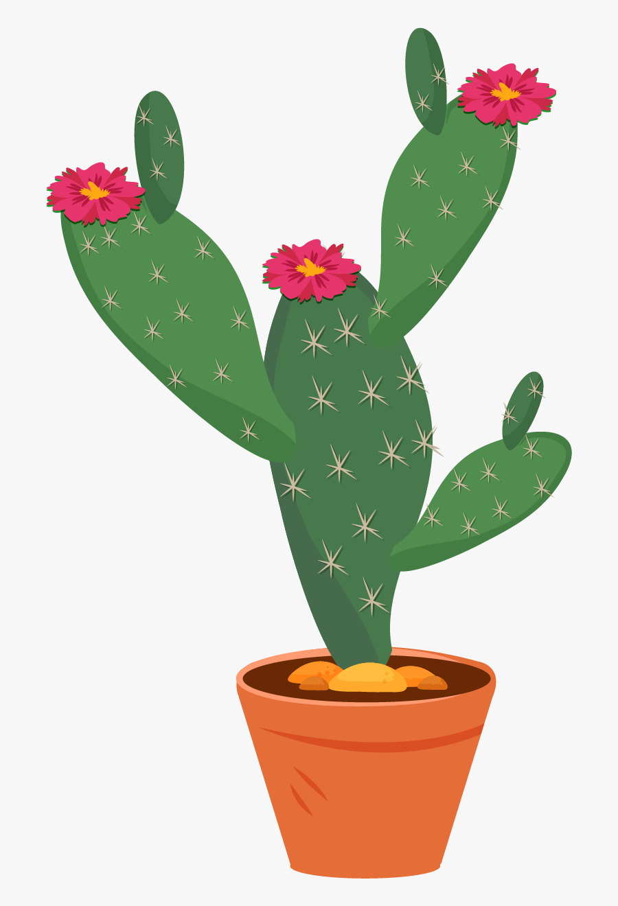 Weberocereus, Transparent Clipart