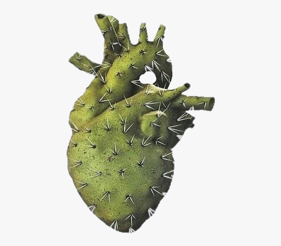 Cactus Freetoedit - Cactus Heart, Transparent Clipart