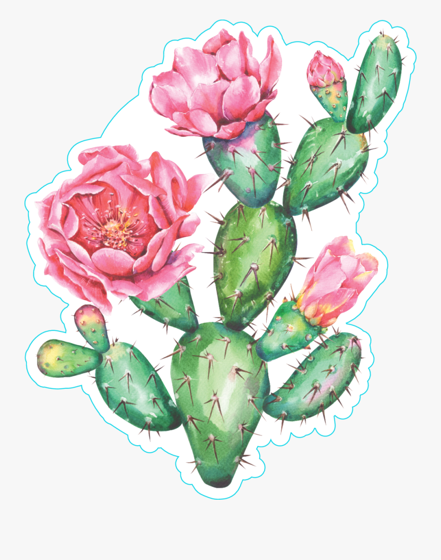 Free Watercolor Cactus Vector Png, Transparent Clipart