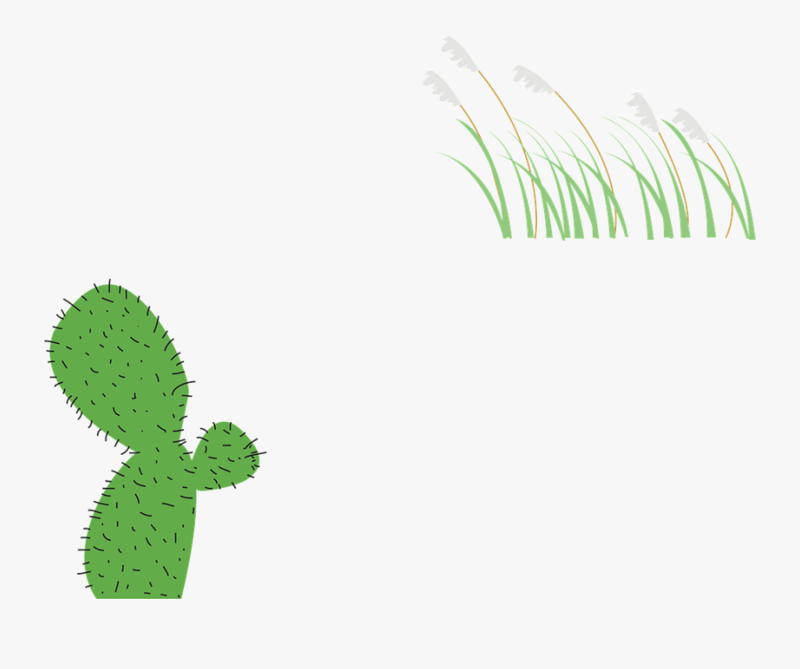 Plant, Cactus, Reed - ต้น กระบองเพชร Png, Transparent Clipart
