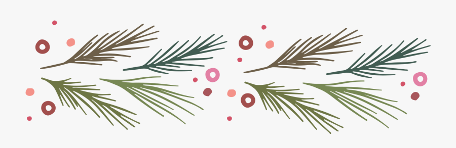 Colorado Spruce, Transparent Clipart