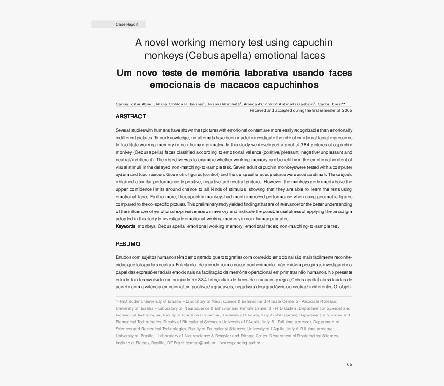 Document, Transparent Clipart