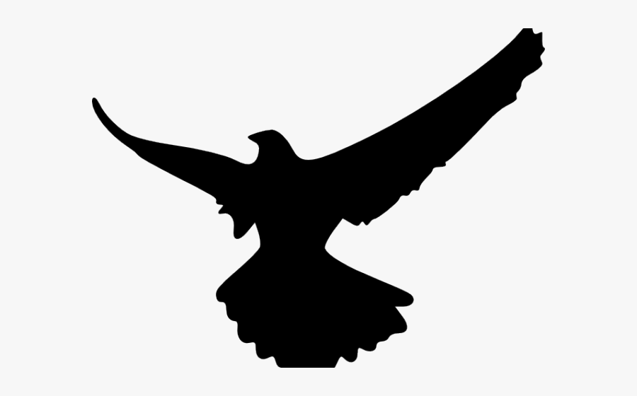 Shadow Of An Eagle, Transparent Clipart
