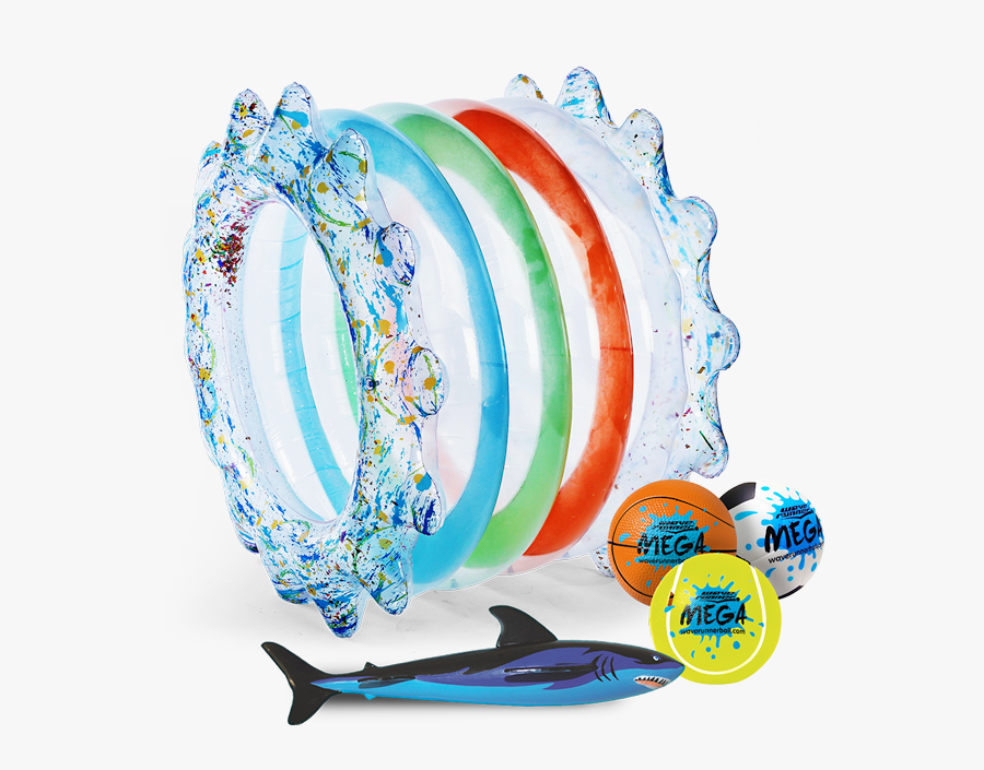 Common Bottlenose Dolphin, Transparent Clipart