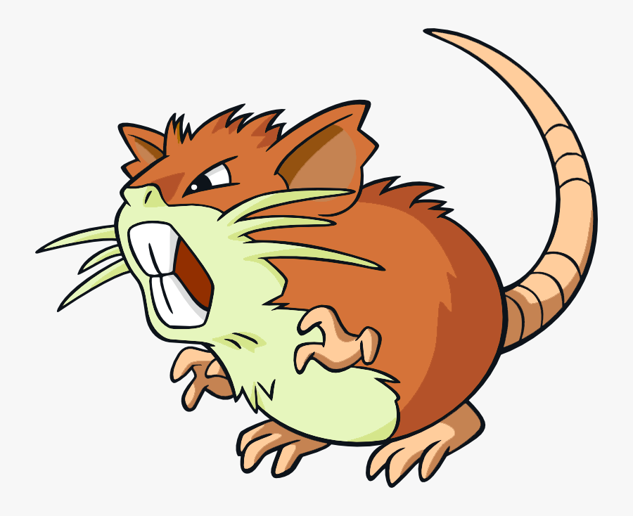 I Got A Tentacruel, Tangrowth, Raticate, And A Charizard - Raticate Shiny, Transparent Clipart