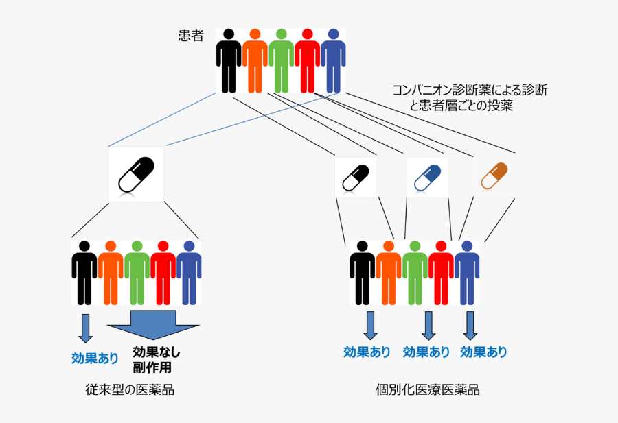Graphic Design, Transparent Clipart