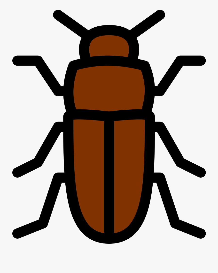 Tribolium Castaneum Png, Transparent Clipart