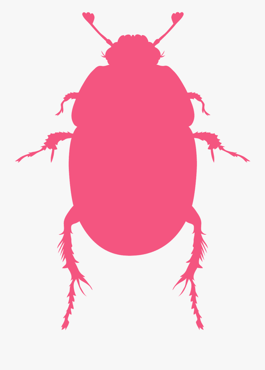 Green Bug Silhouette, Transparent Clipart