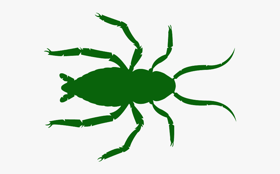 Pest, Transparent Clipart