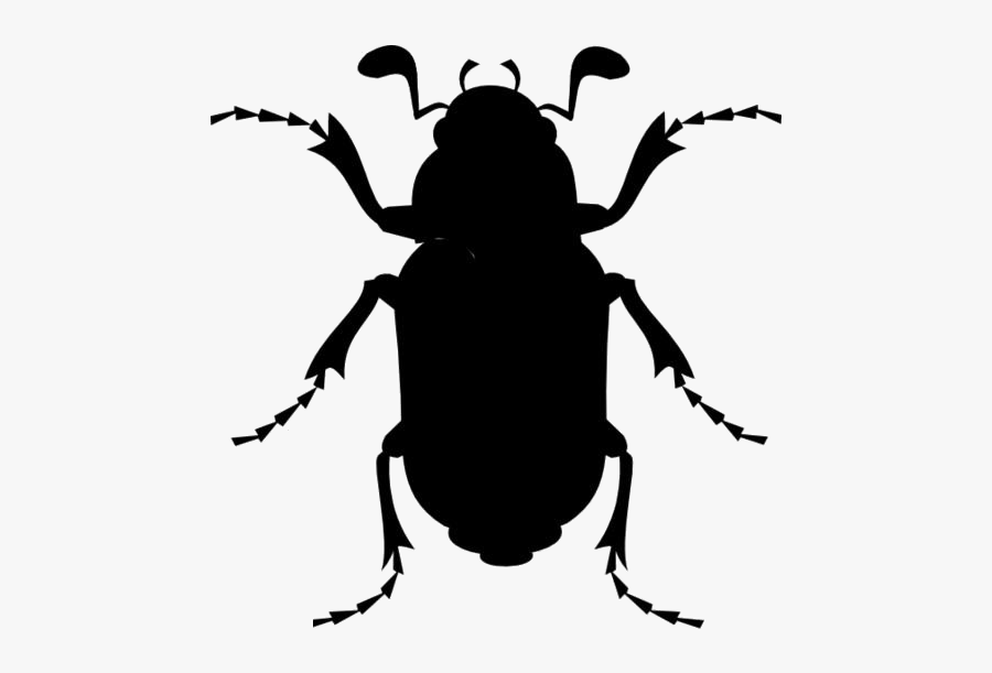 Beetle Png Transparent Images - Cartoon Cockroach, Transparent Clipart