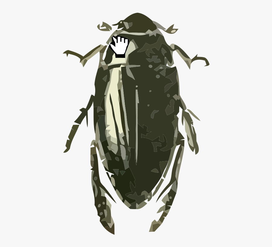 Hydrophilus Triangularis, Transparent Clipart